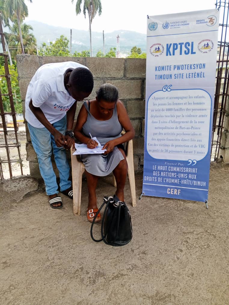 Image de la publication